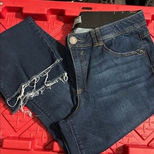 Wit & Wisdom Blue Jeans with Stretch size 16